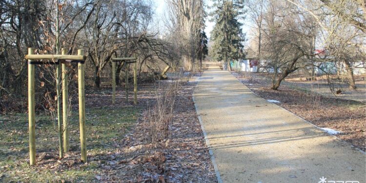 Nowa zieleń między Wiatraczną a Krzywoustego. Skwer na poznańskich Ratajach po metamorfozie