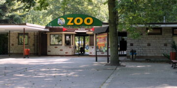 Eutanazja w poznańskim zoo. Stan zdrowia antylopy nagle się pogorszył