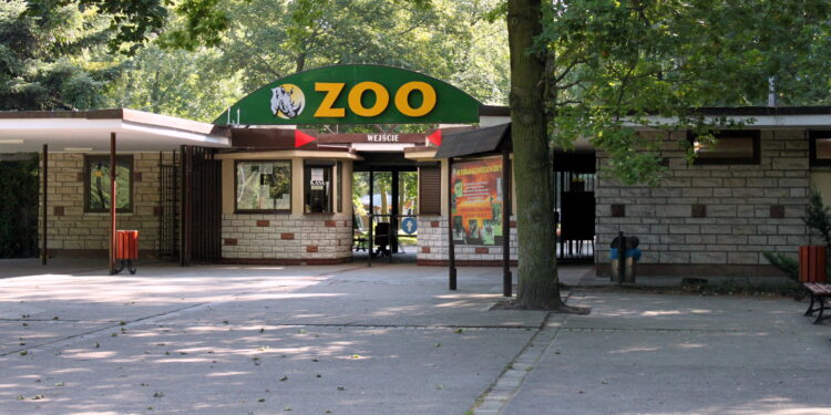 Eutanazja w poznańskim zoo. Stan zdrowia antylopy nagle się pogorszył