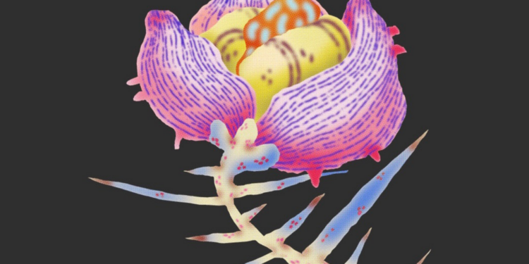 Poznań nie zwalnia tempa. Pierwszy weekend lutego wypełniony wydarzeniami w całym mieście