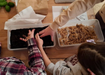 Ferie w Poznaniu z niezwykłą atrakcją. ZOO zaprasza na bezpłatne warsztaty dla dzieci