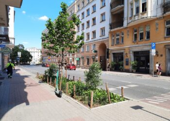 Ul. 3 Maja w centrum Poznania się zazieleni. Zmiany ruszają już w lutym