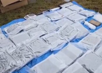 Policja odkryła ogromne ilości nielegalnych substancji. Miliony złotych w zabezpieczonym towarze
