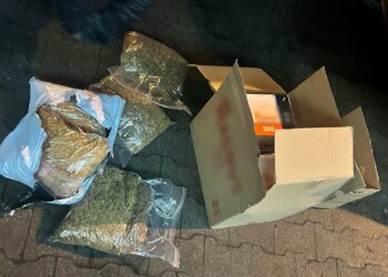 Nielegalny biznes w sieci rozbity przez policję z Poznania. 45-latek zatrzymany po wielomiesięcznym procederze