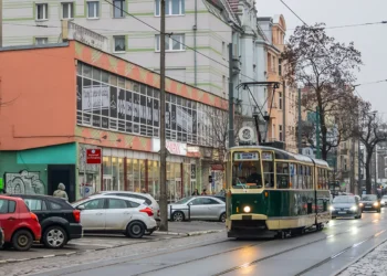 Niezwykły tramwaj pojawi się w Poznaniu. Na przystankach rozdanych zostanie aż 1500 tulipanów