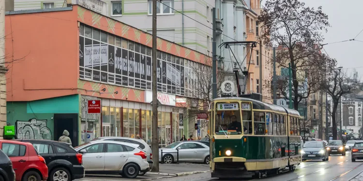 Niezwykły tramwaj pojawi się w Poznaniu. Na przystankach rozdanych zostanie aż 1500 tulipanów
