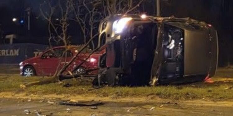 BMW uderzyło w drzewo w Poznaniu