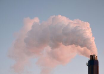 Smogowy alarm w Poznaniu. Normy pyłu przekroczone, służby ostrzegają mieszkańców całego miasta