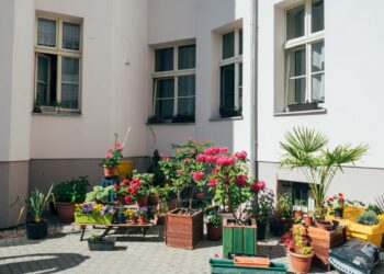 Poznań rusza z nową edycją akcji „Odmień swoje podwórko”. Mieszkańcy mają czas tylko do 19 kwietnia