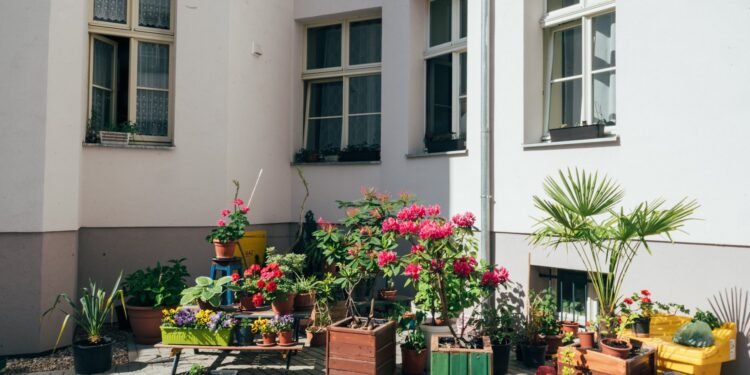 Poznań rusza z nową edycją akcji „Odmień swoje podwórko”. Mieszkańcy mają czas tylko do 19 kwietnia