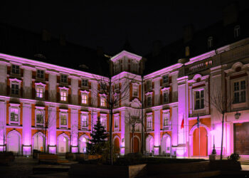 Poznań rozbłyśnie dziś na fioletowo. Plac Kolegiacki i miejskie instytucje w szlachetnej akcji