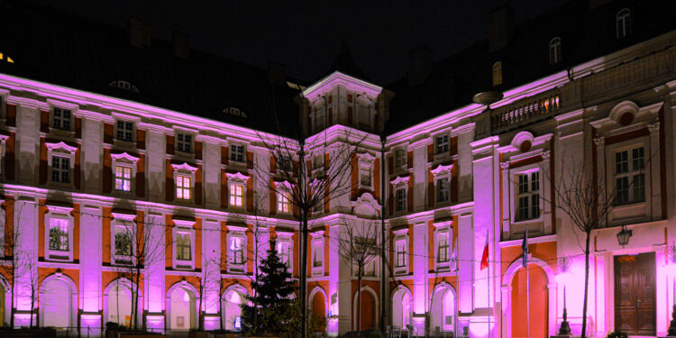 Poznań rozbłyśnie dziś na fioletowo. Plac Kolegiacki i miejskie instytucje w szlachetnej akcji