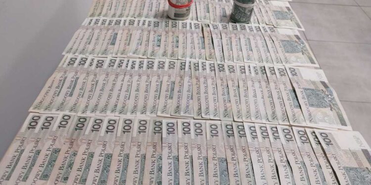 Spektakularne zatrzymanie po kradzieży za ponad 70 tysięcy złotych. Sprawca ukrywał się poza regionem