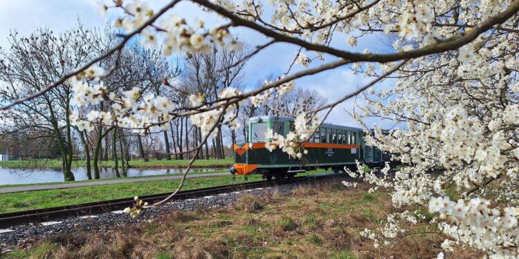 Kultowa Maltanka wraca na tory. Pierwsze kursy już w kwietniu