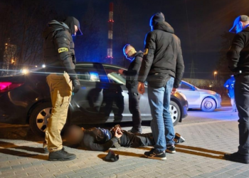 Złodziejski rajd zakończony na drzewie w Poznaniu. Spektakularne zatrzymanie po serii włamań