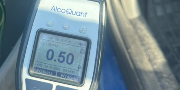 Obcokrajowiec zatrzymany pod Poznaniem za jazdę po alkoholu. Czeka go deportacja