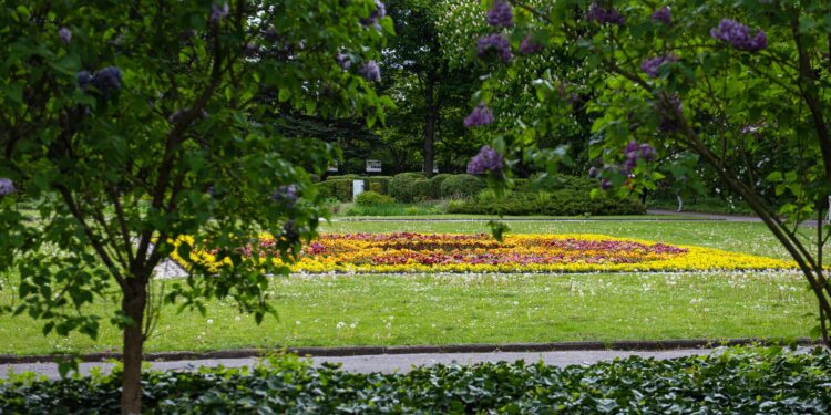 Poznań ożywa w weekend. Od Starego Rynku po Cytadelę miasto wypełnią wydarzenia