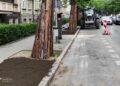 Poznań zazieleni się jeszcze bardziej. Ruszyły prace na Jeżycach