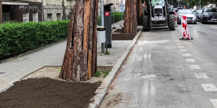 Poznań zazieleni się jeszcze bardziej. Ruszyły prace na Jeżycach