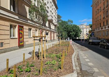 Poznań zmienia centrum miasta. Kierowców czekają utrudnienia przy ul. 3 Maja i Ratajczaka
