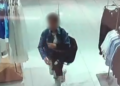 Seria kradzieży w galerii handlowej na Wildzie zakończyła się deportacją 36-latki