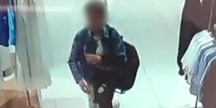 Seria kradzieży w galerii handlowej na Wildzie zakończyła się deportacją 36-latki