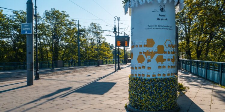 Pszczoły mają swoje święto. W Poznaniu rozdają nasiona roślin