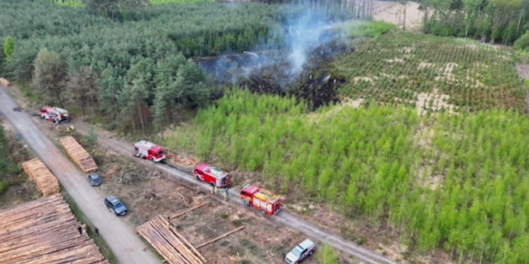 Pożar lasu w regionie. Samoloty gaśnicze w interwencji