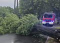 Poznań i Wielkopolska po nocnym załamaniu pogody. Strażacy interweniowali aż 167 razy