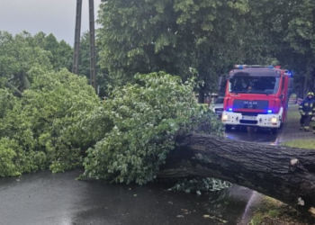Poznań i Wielkopolska po nocnym załamaniu pogody. Strażacy interweniowali aż 167 razy