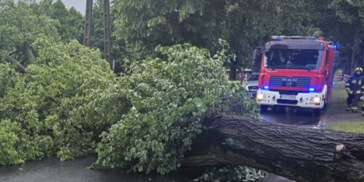 Poznań i Wielkopolska po nocnym załamaniu pogody. Strażacy interweniowali aż 167 razy
