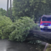 Poznań i Wielkopolska po nocnym załamaniu pogody. Strażacy interweniowali aż 167 razy