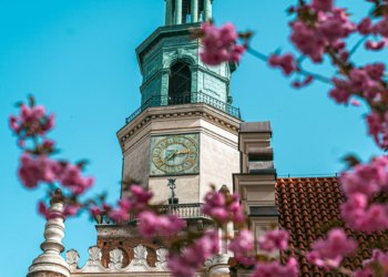 Poznań podsumowuje wiosnę. Rekordy na rowerach, tłumy na półmaratonie i nowy basen na Grunwaldzie