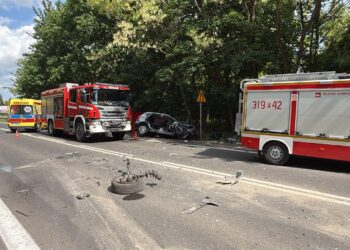 Tragiczny wypadek pod Poznaniem. Kobieta zginęła w zderzeniu czołowym z ciężarówką