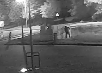 Tajemniczy atak na stoisko z truskawkami pod Poznaniem. Policja ustaliła podejrzanego