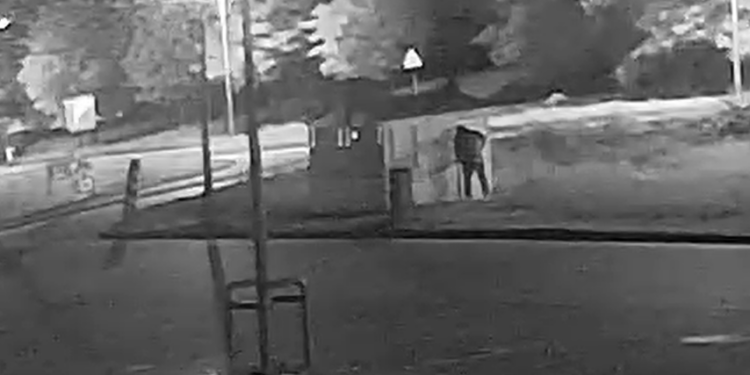 Tajemniczy atak na stoisko z truskawkami pod Poznaniem. Policja ustaliła podejrzanego