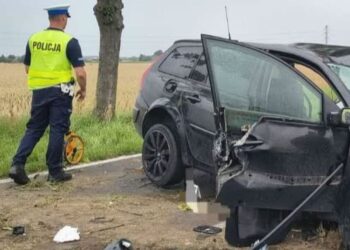 Tragiczny finał jazdy 18-latka. Auto z ogromną siłą uderzyło w drzewo