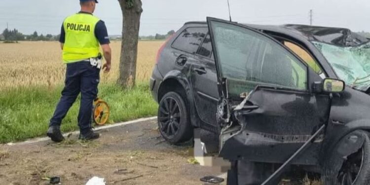 Tragiczny finał jazdy 18-latka. Auto z ogromną siłą uderzyło w drzewo