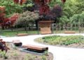 Park Czarneckiego na Winogradach przeszedł dużą zmianę