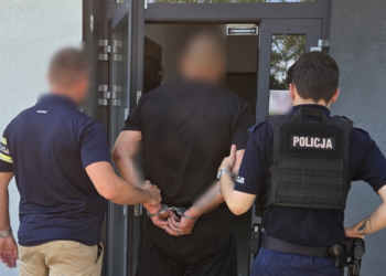 Chcieli zmylić policję po kolizji? Nowe ustalenia po zdarzeniu pod Poznaniem