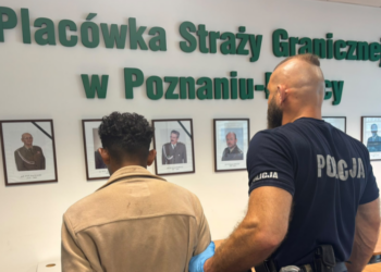 Szokujące sceny pod Poznaniem. Nagi mężczyzna niszczył samochody, później awanturował się w pociągu