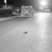 Wypadek w Połajewie – zderzenie motocykla z rowerem
