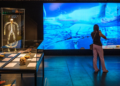 Wystawa Body Worlds – Vital w Poznaniu poświęcona zdrowiu, sprawności fizycznej i długowieczności