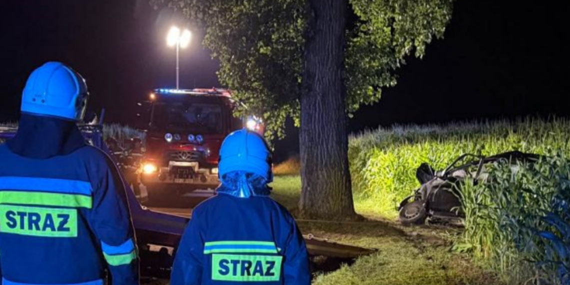 Śmiertelny wypadek na trasie Tłukomy–Wiktorówko. Samochód osobowy uderzył w drzewo