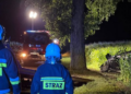 Śmiertelny wypadek na trasie Tłukomy–Wiktorówko. Samochód osobowy uderzył w drzewo
