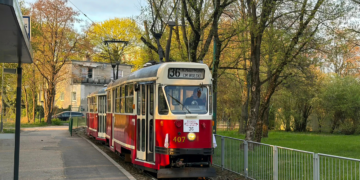 Historyczny Jelcz „ogórek” na poznańskiej linii turystycznej