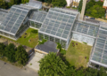 Palmiarnia Poznańska w Poznaniu – zabytkowy kompleks na Łazarzu przed planowaną przebudową.