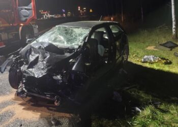 Wypadek na DW309. 18-latka zmarła. 5 osób w szpitalu