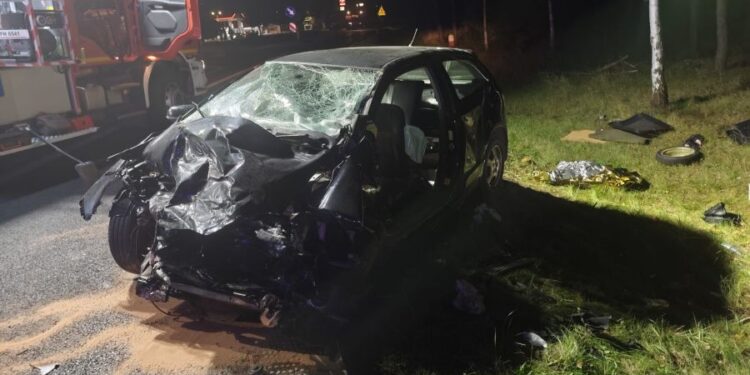 Wypadek na DW309. 18-latka zmarła. 5 osób w szpitalu