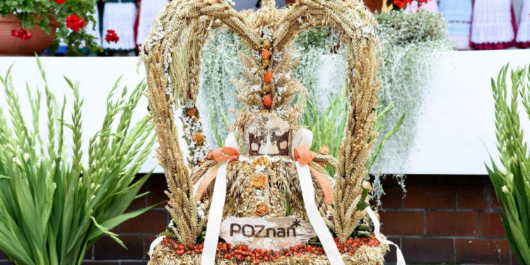 Wrześniowy kalendarz wydarzeń kulturalnych, sportowych i rozrywkowych w Poznaniu